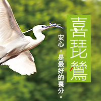 Camel Ring International Company